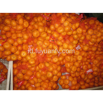 Nanfeng Bayi Mandarin segar